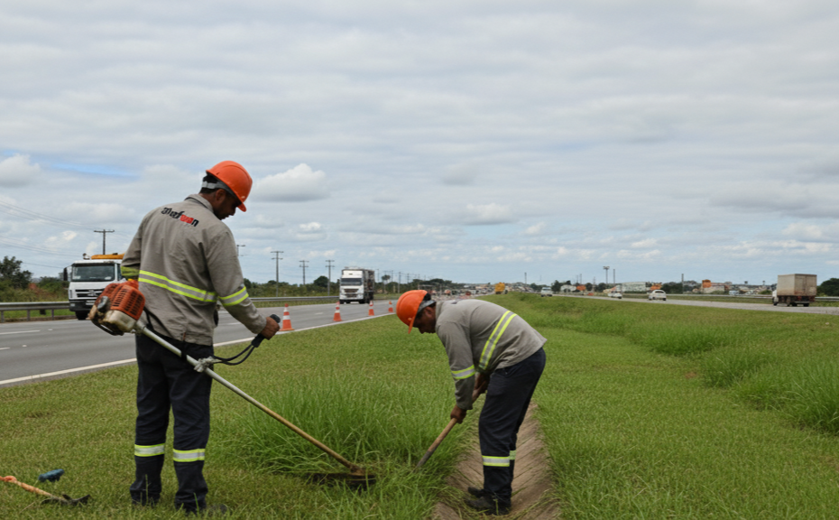 Conservação Verde e Cinza